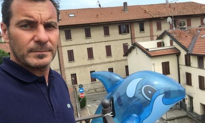 Pesci contro i vandali. E in Municipio spunta addirittura un delfino