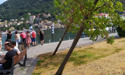Lavori alla passeggiata Amici di Como: irrigazione ok ma addio ai gelsi