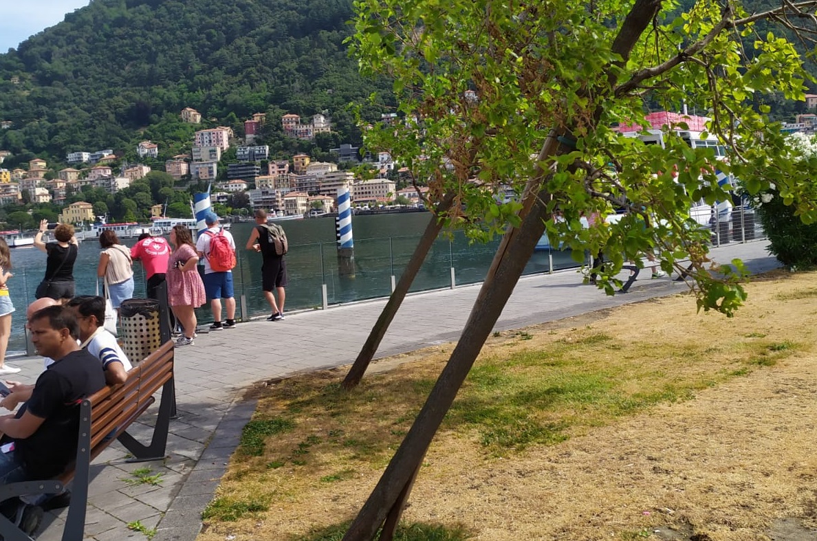 Lavori alla passeggiata Amici di Como: irrigazione ok ma addio ai gelsi