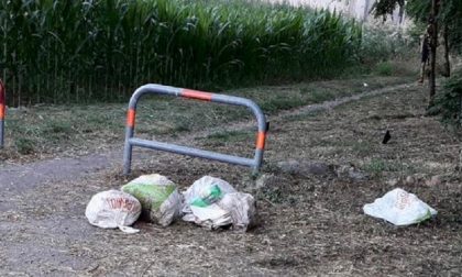 Abbandona i rifiuti ma dimentica la posta: beccato!