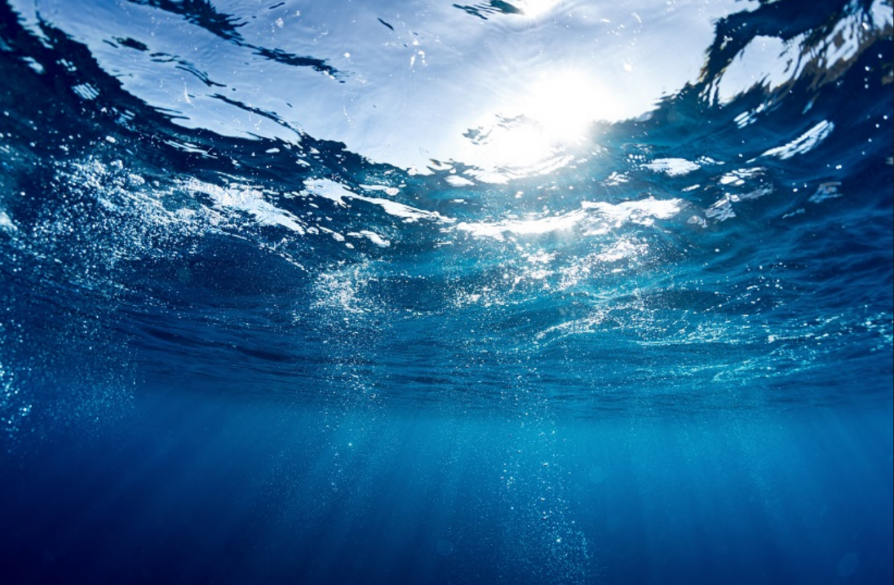A lezione per l’ambiente: 500 studenti coinvolti in un progetto di Acsm Agam