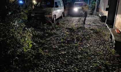 Maltempo nell'Erbese in nottata black-out e alberi caduti FOTO