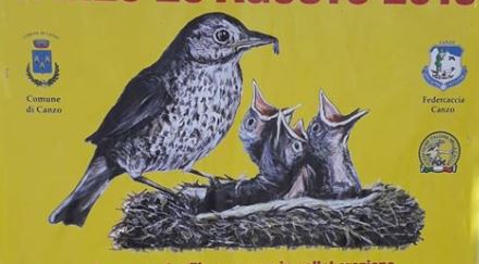 Fera di usei in corso oggi a Canzo