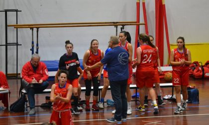 Basket femminile oggi in campo Cantù e Vertematese