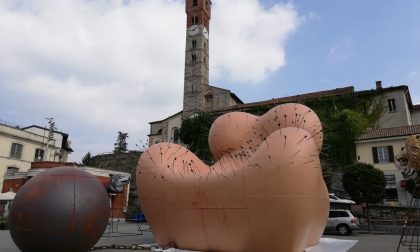 Festival del legno cosa pensano i canturini dell'opera di Gaetano Pesce? I COMMENTI