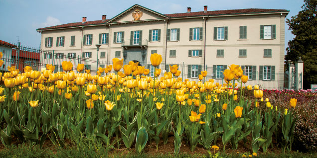 Fondazione Minoprio compie 60 anni