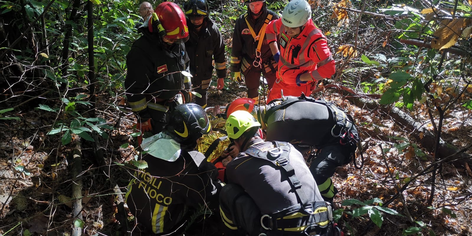 cade nel bosco, appiano gentile