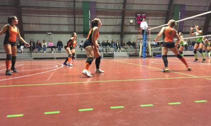 Albese Volley Ottimo esordio della squadra di Prima Divisione