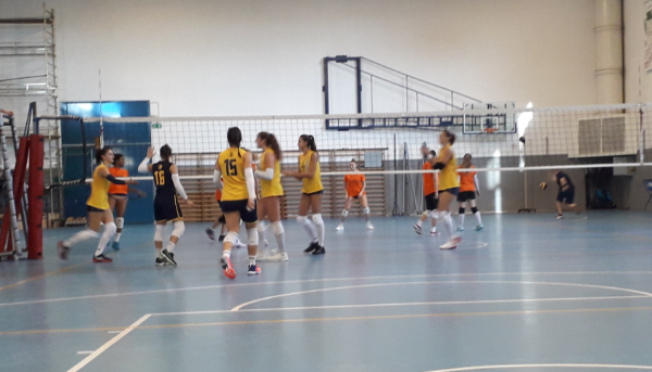 Albese Volley al via anche la campagna abbonamenti 2019/20