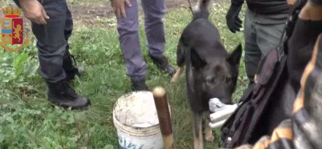 Blitz nel bosco della droga: pusher in manette. Arrestato uno spacciatore anche in stazione a Lecco FOTO E VIDEO