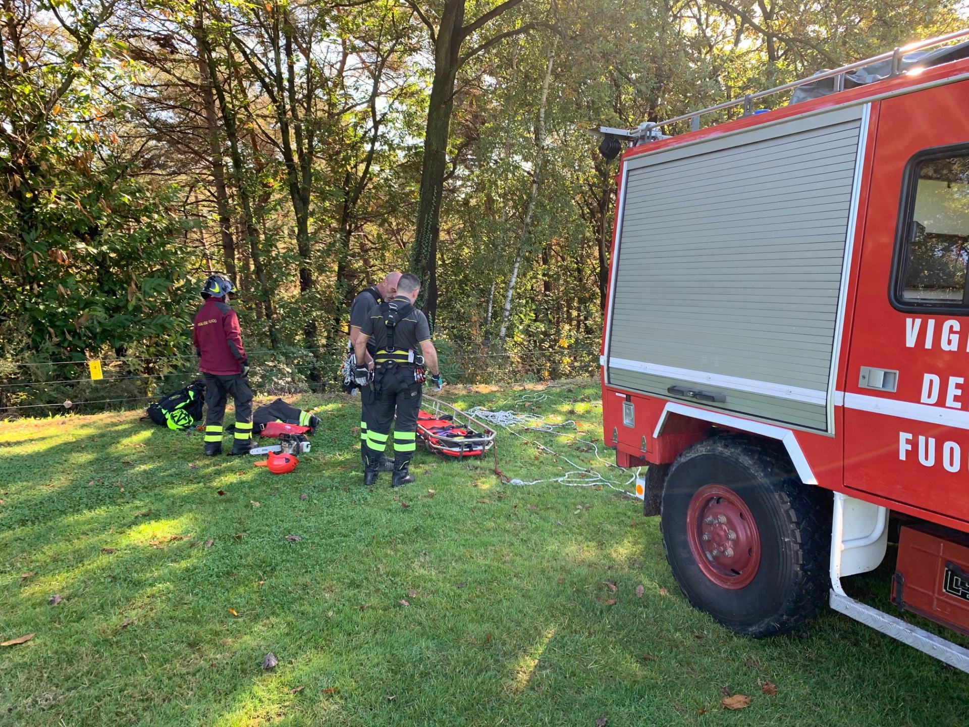 cade nel bosco, appiano gentile