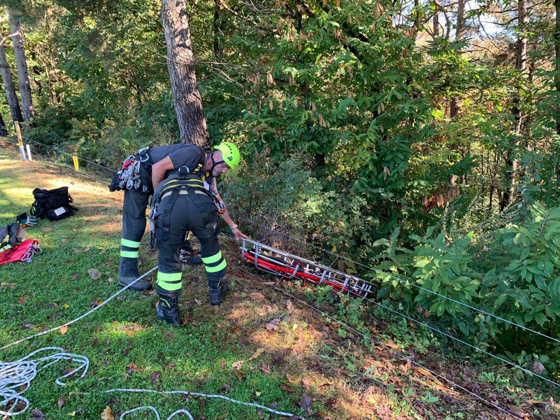 cade nel bosco, appiano gentile