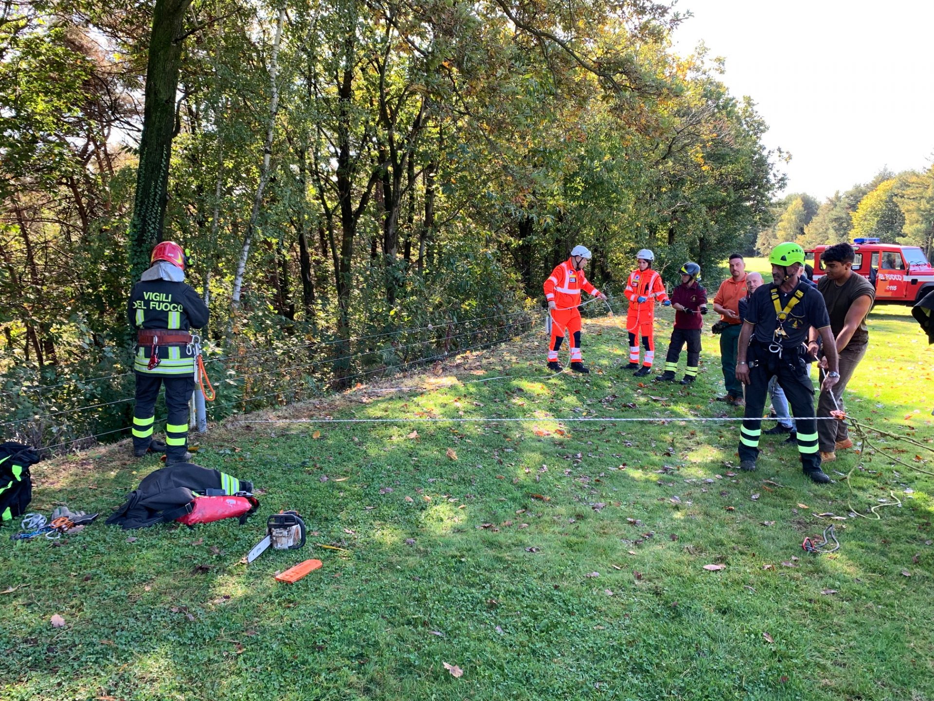 cade nel bosco, appiano gentile