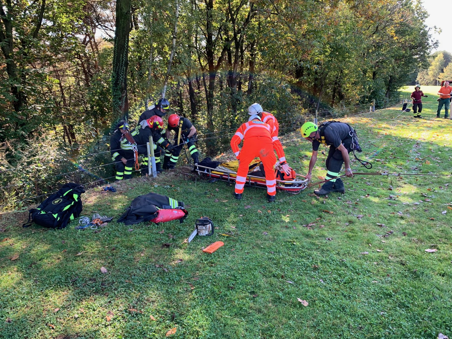 cade nel bosco, appiano gentile