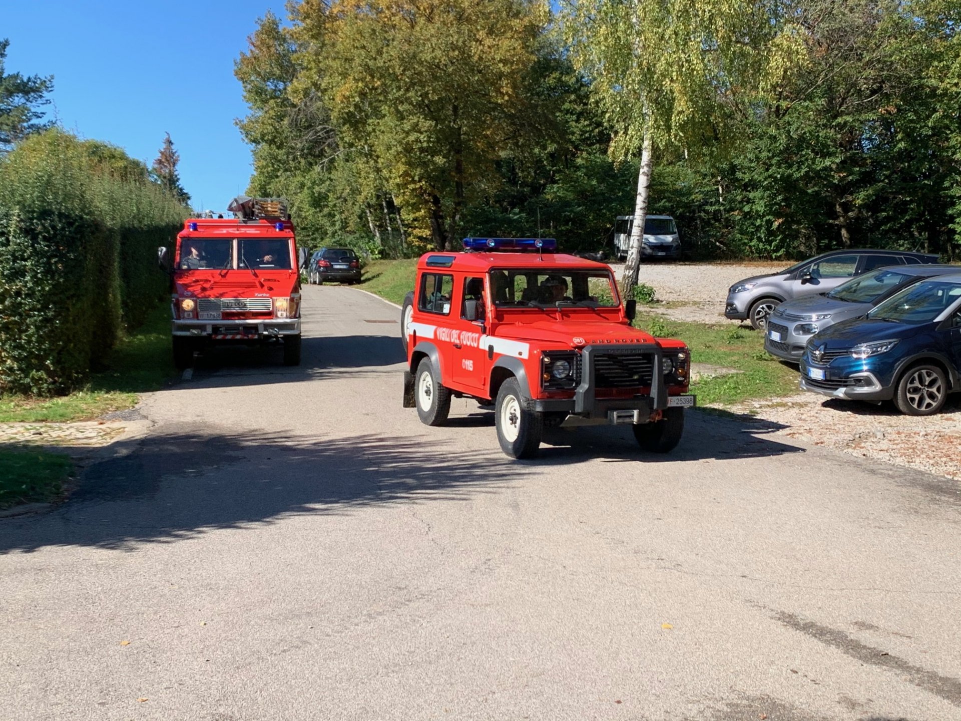 cade nel bosco, appiano gentile