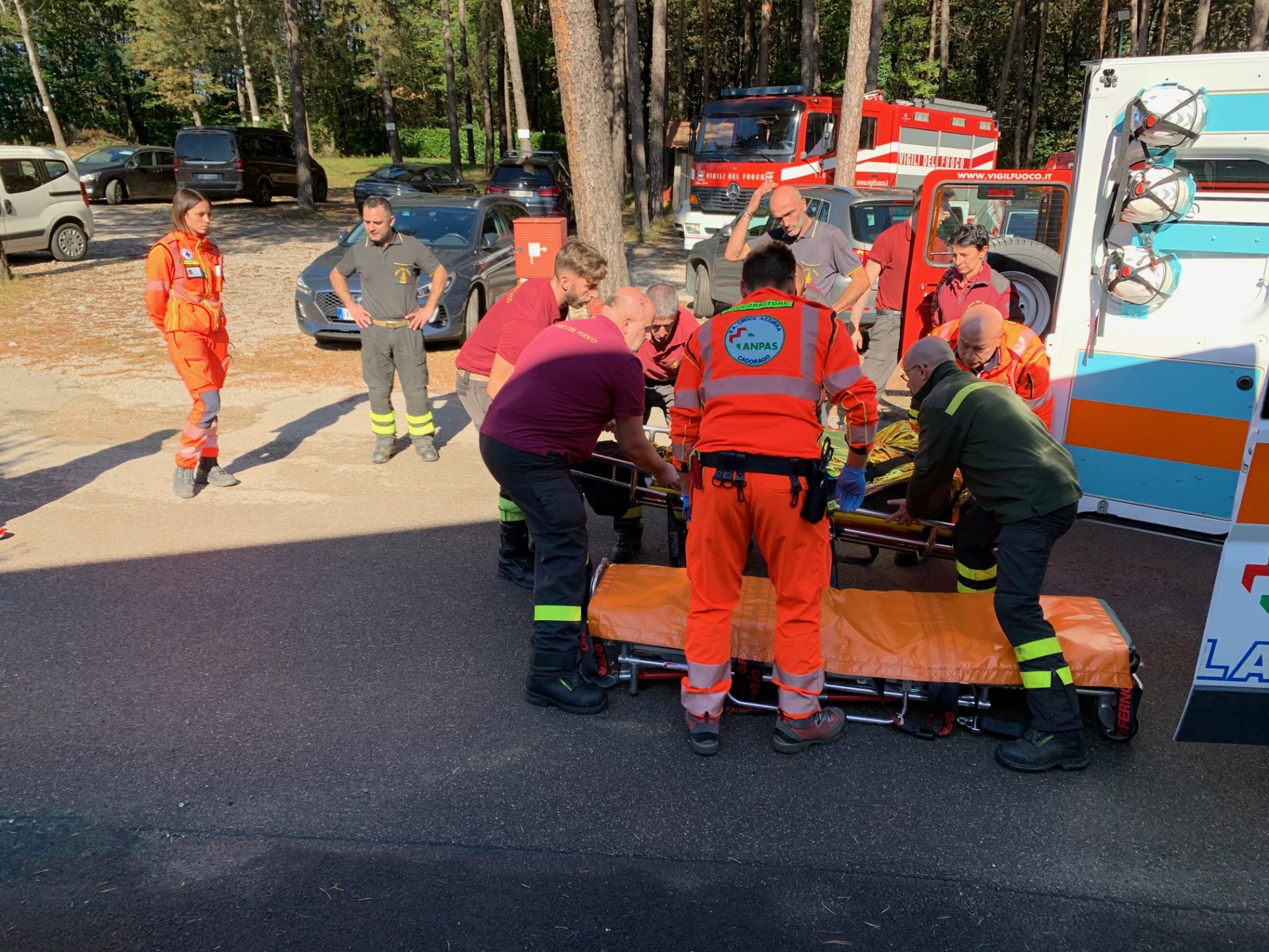 cade nel bosco, appiano gentile