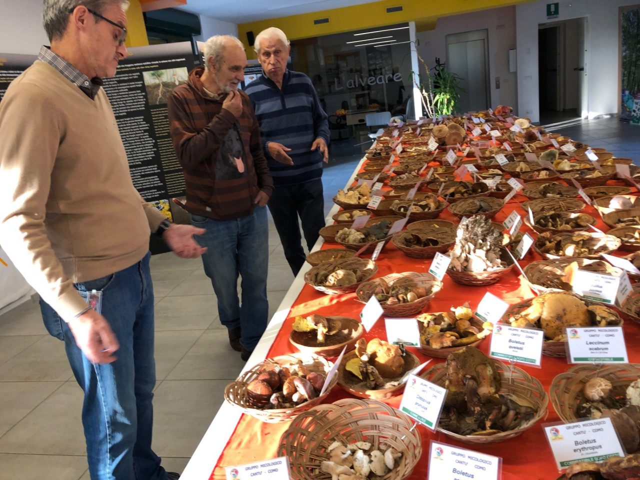 Mostra micologica con 200 specie di funghi, microscopio e pannelli didattici FOTO e VIDEO