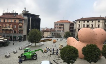 Cantù saluta la Maestà sofferente di Gaetano Pesce