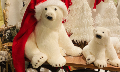 Natale, è tempo di addobbi, alberi e decorazioni