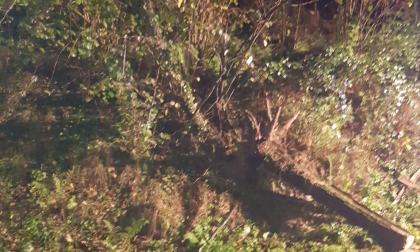 Maltempo nel Comasco: caduto un albero tra Casate e Navedano