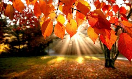 Novembre si chiude con il sole. Domenica ancora piogge PREVISIONI METEO