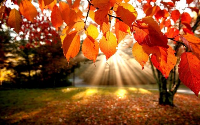Novembre si chiude con il sole. Domenica ancora piogge PREVISIONI METEO