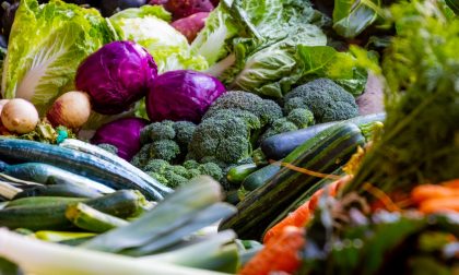 Sei consigli per migliorare la flora intestinale