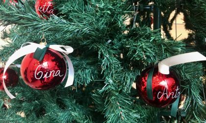 Natale in ospedale al Sant'Anna arriva l'albero dedicato ai donatori