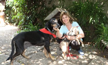 La scrittrice comasca Amelia Impellizzeri presenta il suo ultimo romanzo e si racconta