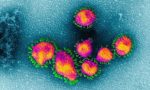 Coronavirus in Lombardia 314 nuovi positivi, +3 nel Comasco