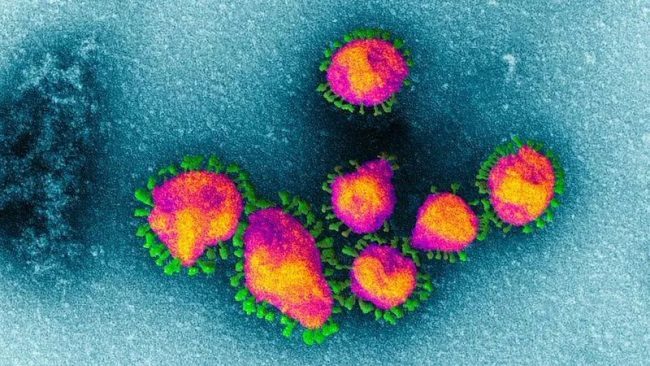 Coronavirus in Lombardia nella notte contagi saliti a 206. Scoppia la polemica Fontana-Conte