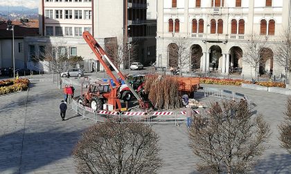 Rogo della Giubiana: questa sera appuntamento in piazza a Cantù