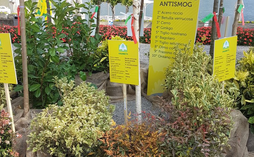 Allarme inquinamento, al Myplant & Garden presentate le piante mangia-polveri per ripulire l’aria