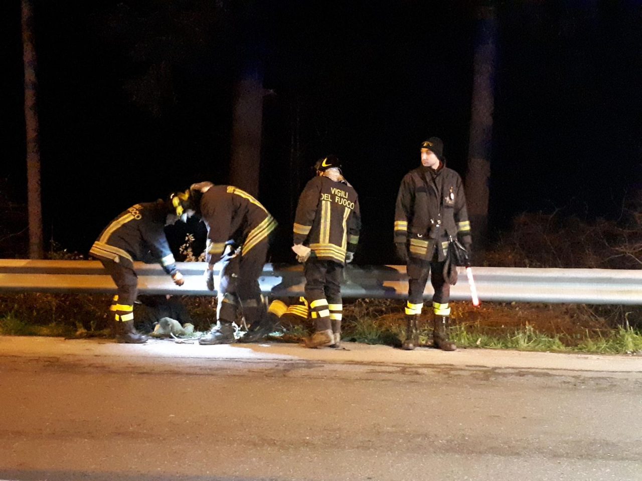 Spaventata dai botti, pecora fugge e rimane intrappolata