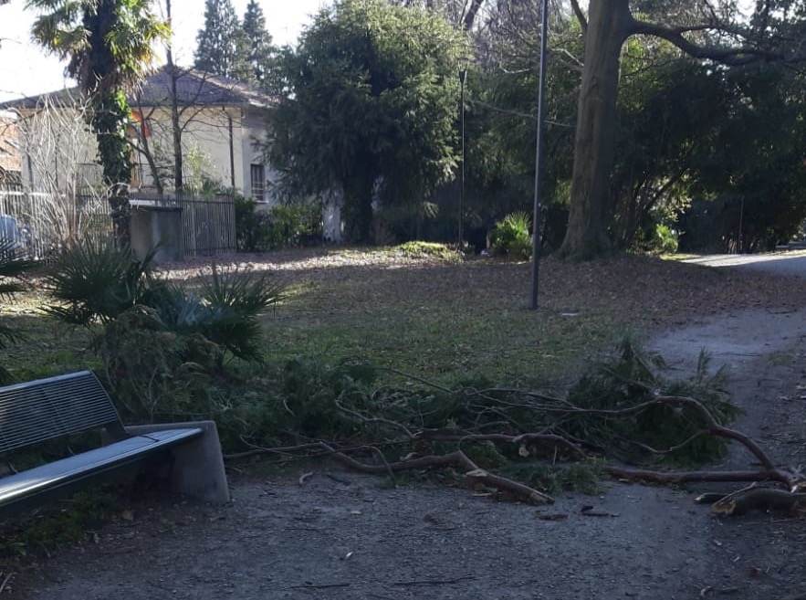 Vento forte, cadono rami vicino alle panchine del parco pubblico