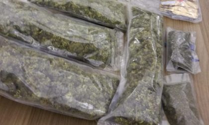 Dalla cannabis light a quella illegale nell’azienda di Rovello: arrestato 44enne FOTO