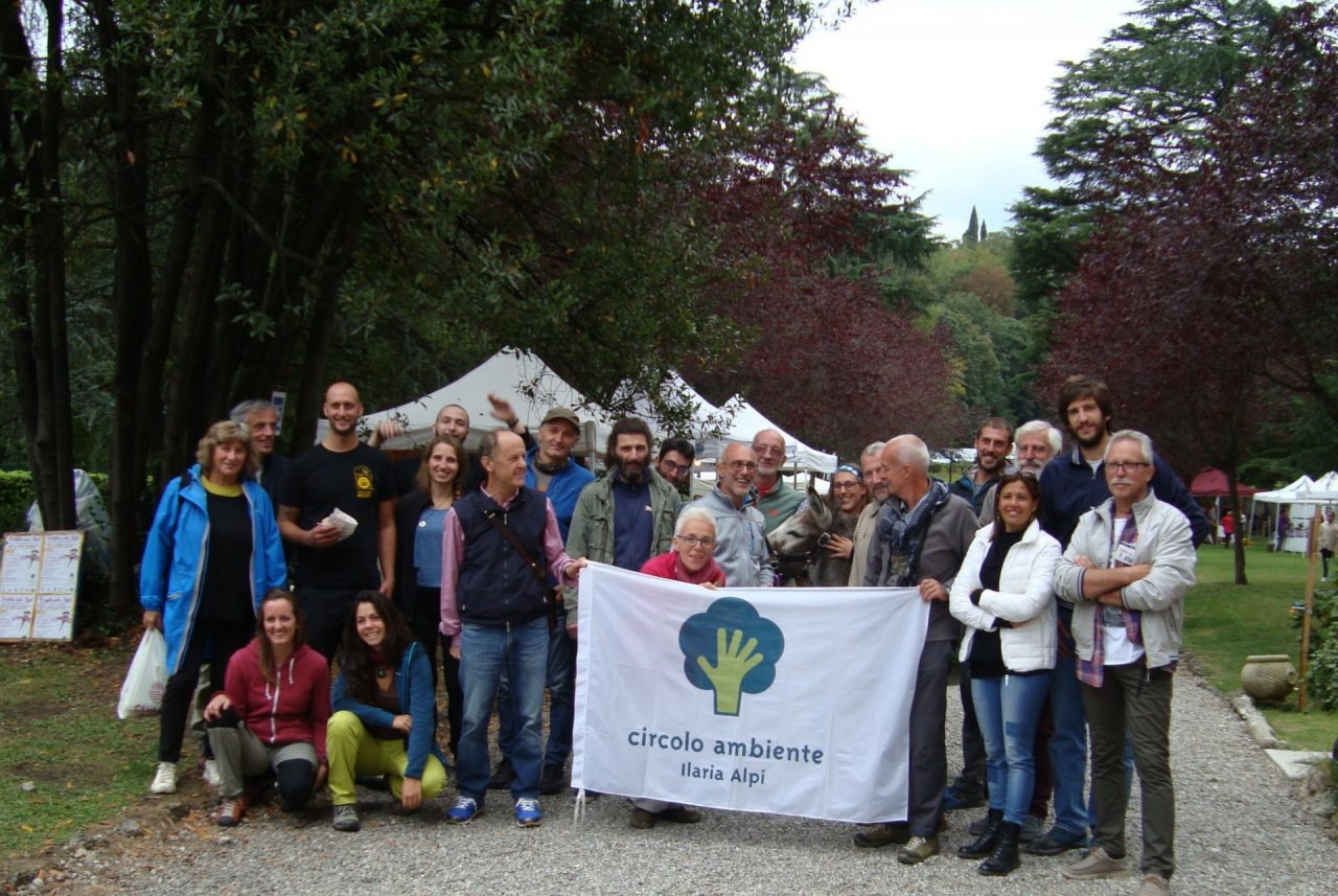 Il Circolo Ilaria Alpi: “No al nuovo supermercato che cancellerebbe un’area verde”