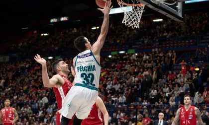 Pallacanestro anche il canturino Andrea Pecchia ieri è volato a Tallin con l'Italia