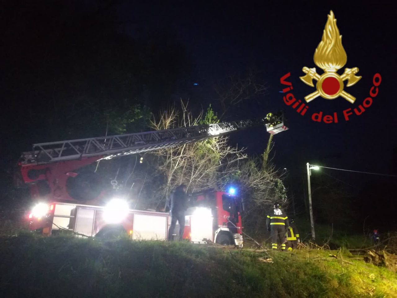 Piante pericolanti in via 27 maggio: Vigili del Fuoco al lavoro FOTO