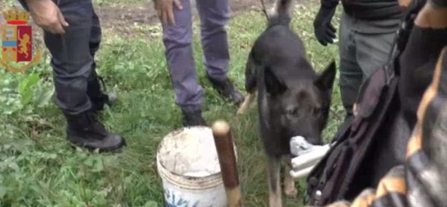 Poliziotti infiltrati nel bosco della droga: in manette pusher clandestino