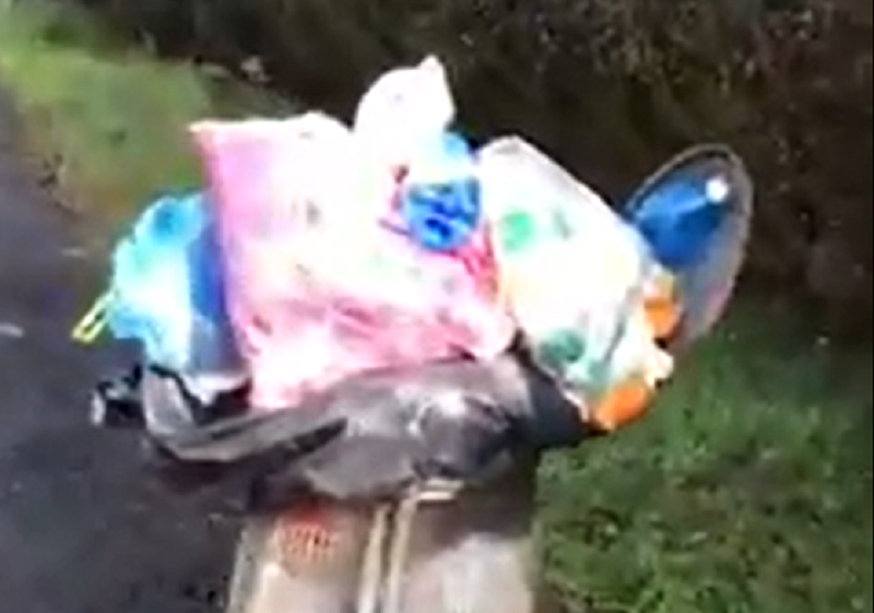 Degrado a Figino: la situazione in località Gheda VIDEO