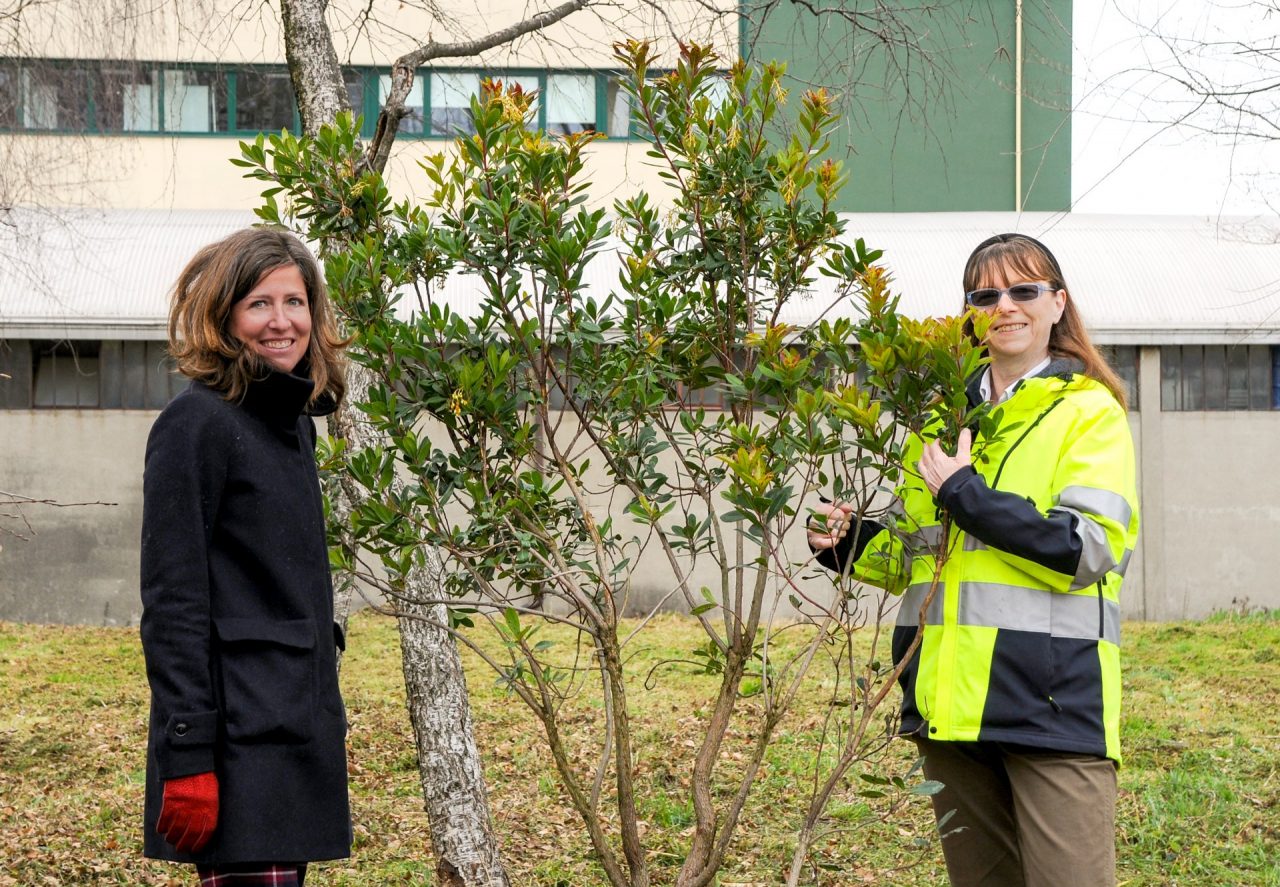 ForestiAmo Como, Anna e la ricerca di spazi per gli alberi. Lechler ne accoglie 23