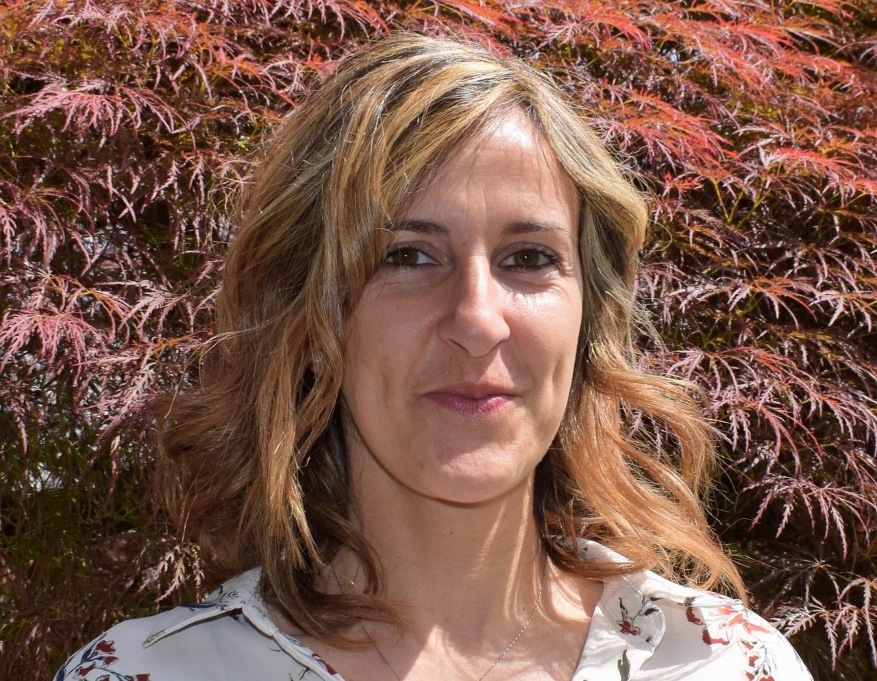 Dotti vola in Regione: “Si parte dalla Variante di Argegno”