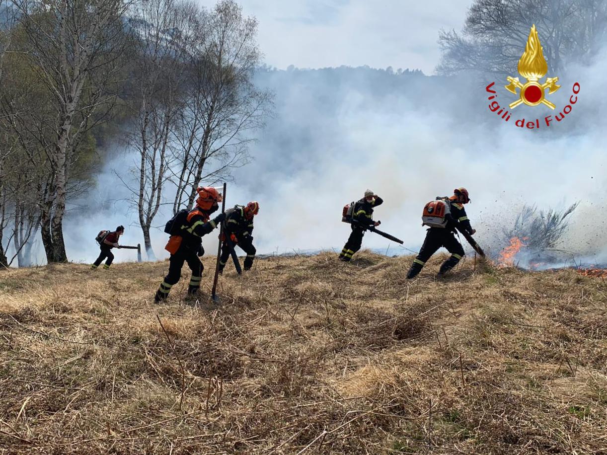 Incendio boschivo sui monti di Livo FOTO