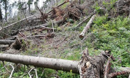 Tempesta Vaia arrivano finanziamenti da Regione per gli interventi