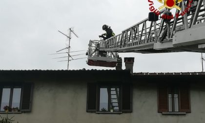 Ancora un incendio canna fumaria: intervento dei pompieri a Cantù