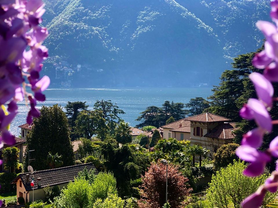 Cernobbio “Comune fiorito” anche sui social grazie agli scatti dei cittadini FOTO