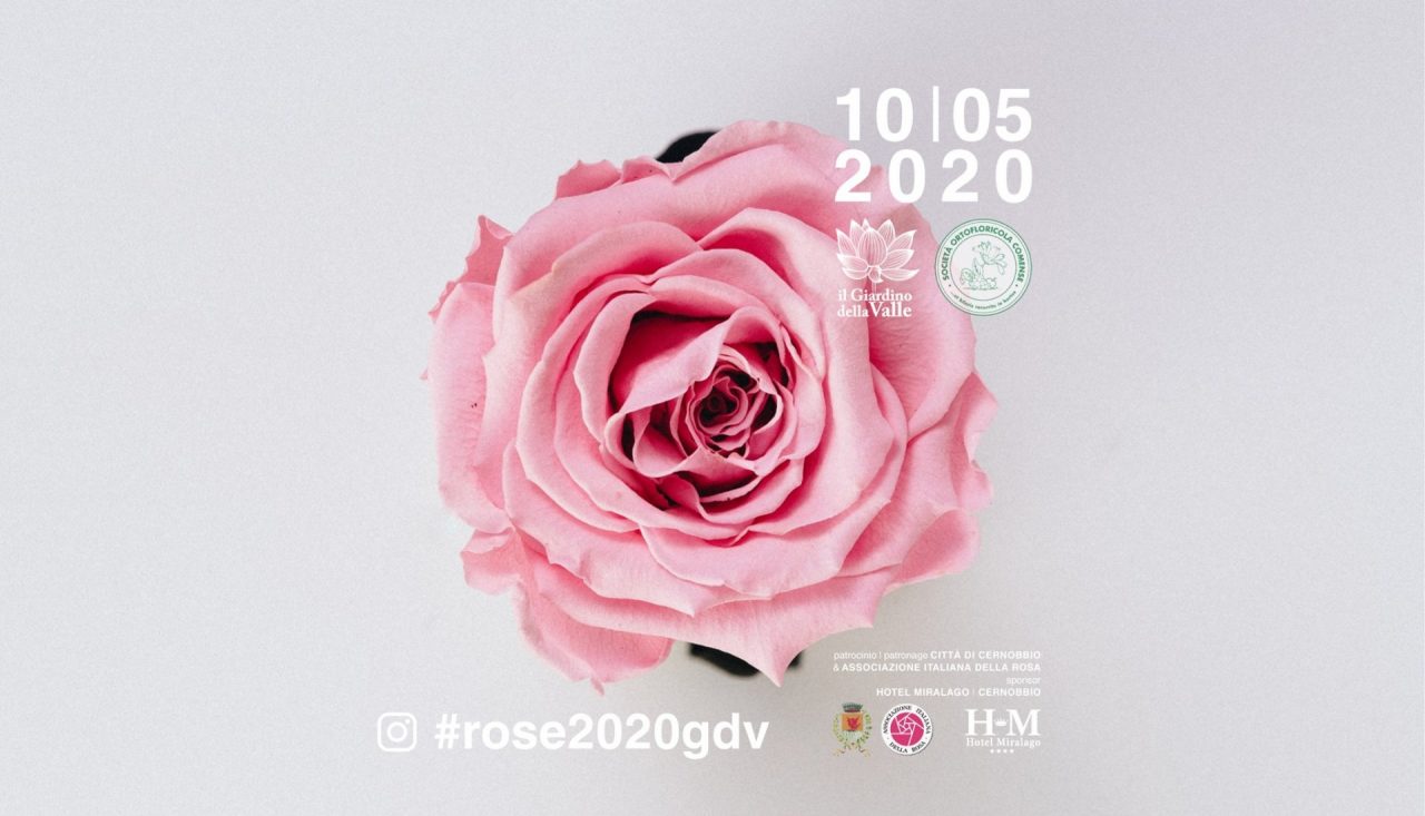 La rosa più bella del Giardino della Valle quest’anno verrà scelta sui social