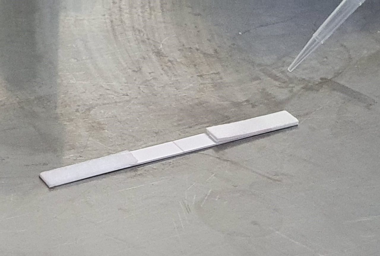 Test salivari nelle scuole: si comincia dell’istituto comprensivo Borgovico