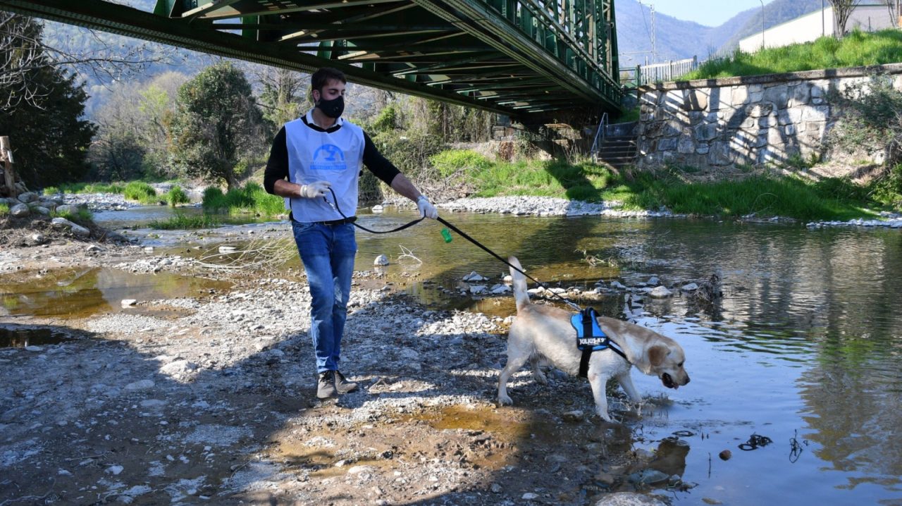 Leidaa al fianco delle famiglie colpite dal Covid: “Portiamo a spasso o dal veterinario i loro animali”